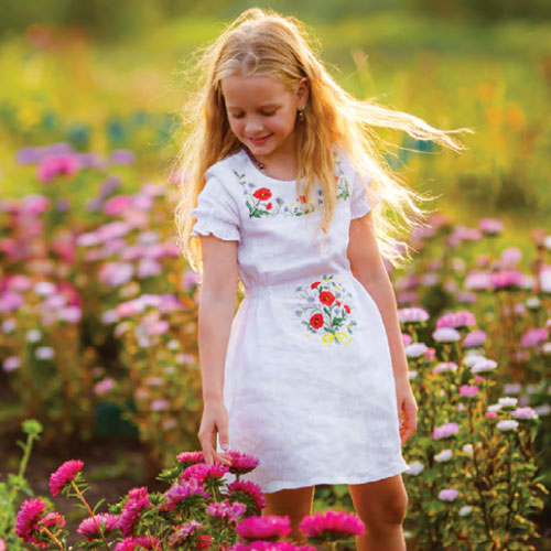 Butterfly Garden